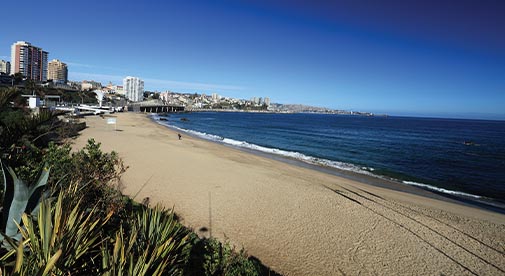 Where the Vineyards Roll Down to the Sea