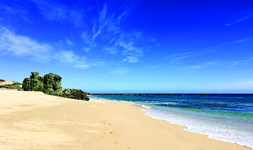 What Does Ronan Think of San Felipe, Mexico?