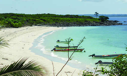 “We Created Our Own Paradise on the Pacific”