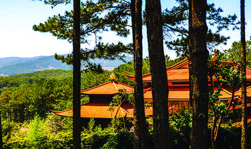 Vietnam’s Monks Teach How to Calm Your Racing Thoughts