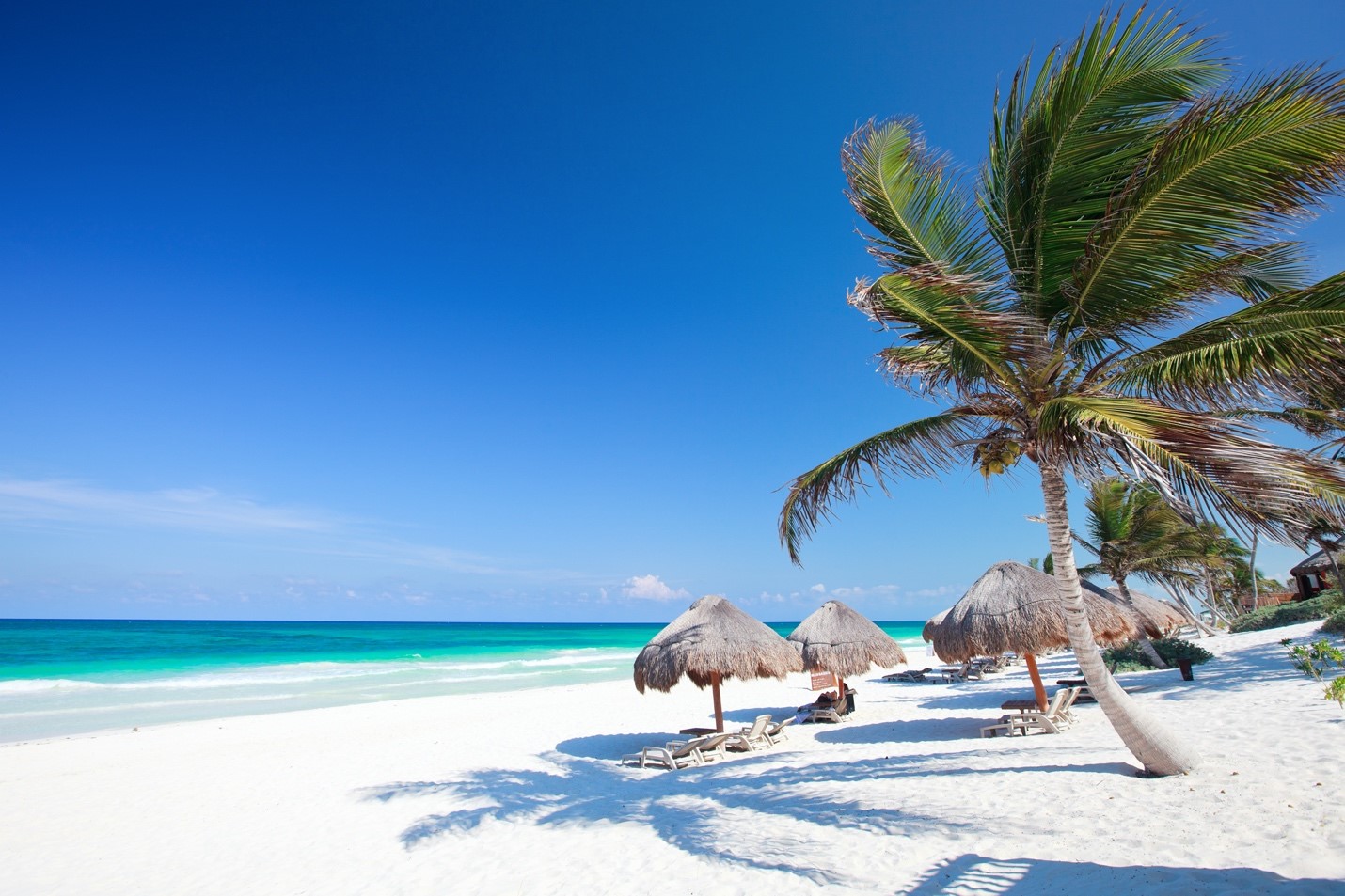 Sneak Peek at Our Upcoming Tulum Deal