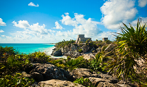 Zoom Boom TULUM!