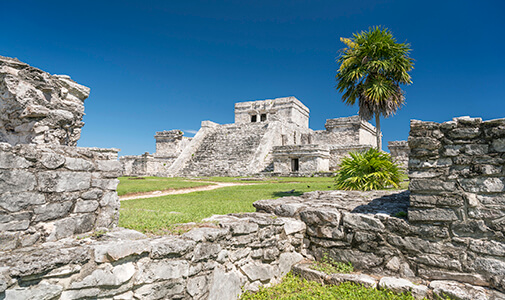 VIDEO: Why Tulum…and Why Now