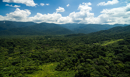 VIDEOS: Costa Rica in 2022