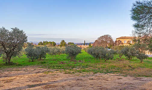 Full-Color Living: A California Couple’s Escape in Provence