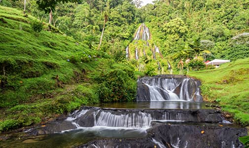 Video: Venturing into the Heart of Colombia’s Coffee Growing Country