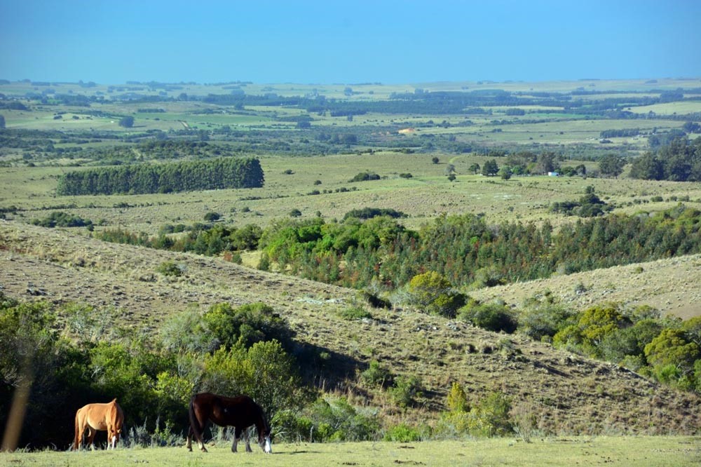 July 2022 – A Rural Idyll From Just $73,000