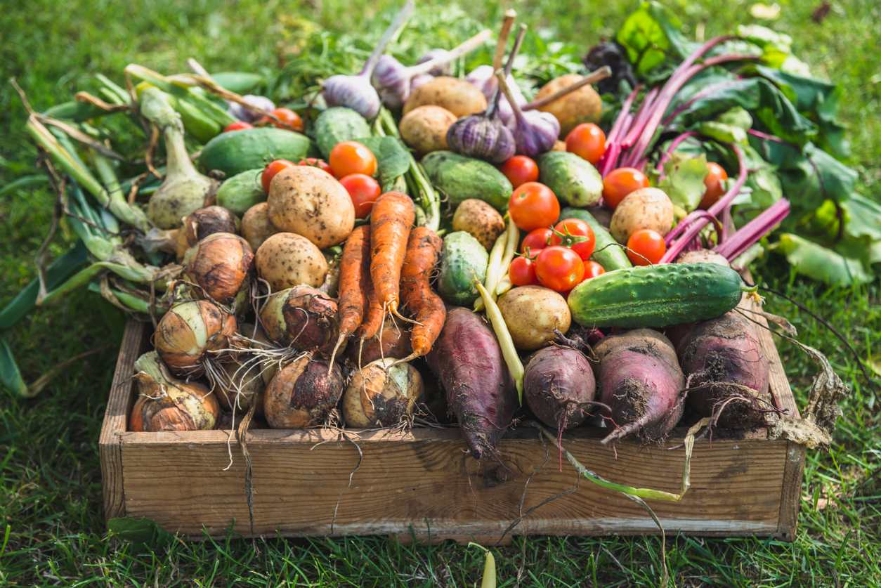 Can I Get Organic Veg in Portugal?