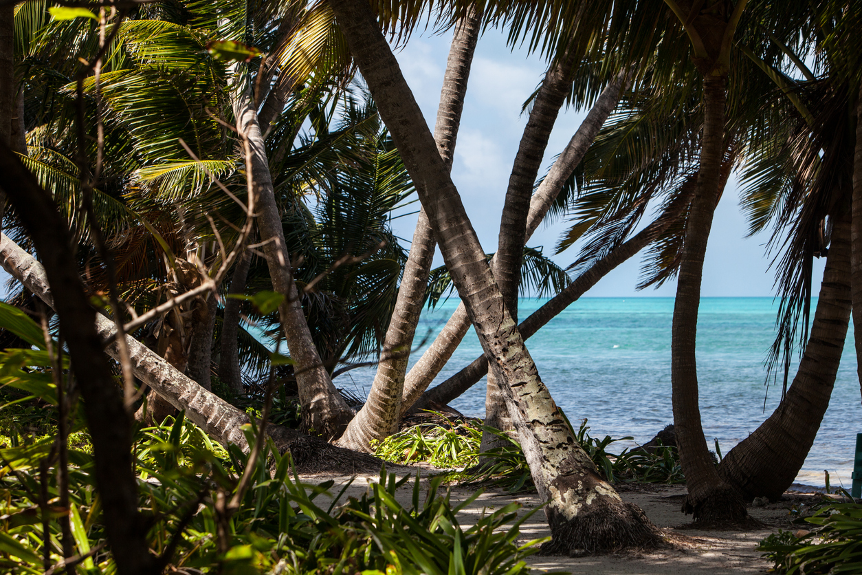 Should I Buy on Long Caye, Belize?